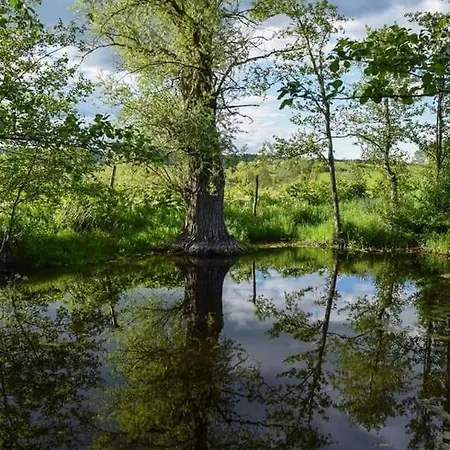 Gierszowka Smak&relaks *