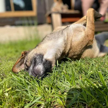 Gierszowka Smak&relaks