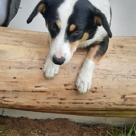 Alloggio per agriturismo Gierszowka Smak&relaks Gietrzwałd