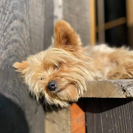 Alloggio per agriturismo Gierszowka Smak&relaks *