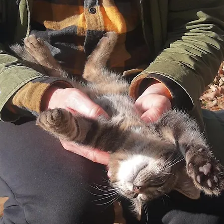 Gierszowka Smak&relaks Gietrzwałd